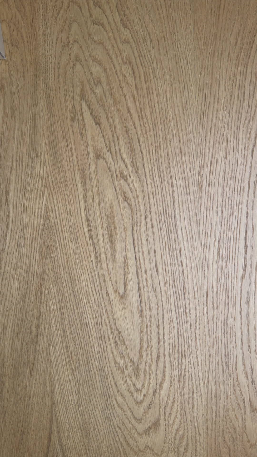 Charger la vidéo : 